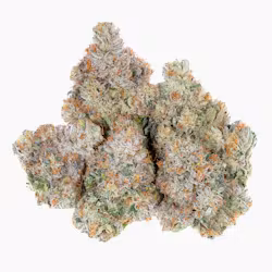 Area 41 Kush For Sale