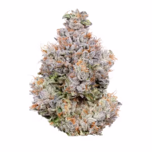 Agent X Kush For Sale