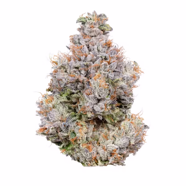 Agent X Kush For Sale