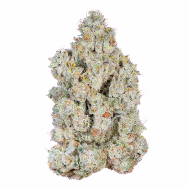 Buy Dark Web Online